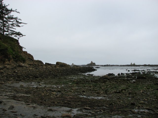 North Cove
